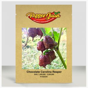 Chocolate Carolina Reaper Pepper Seeds